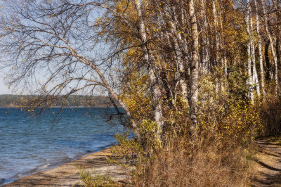 Autumn at Clear Lake