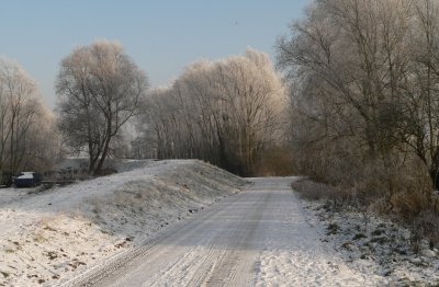 Winter 2009