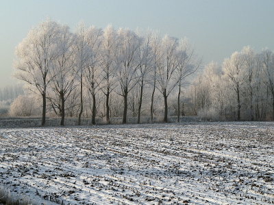 Winter 2009