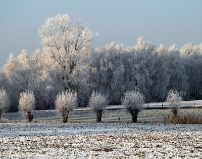 Winter 2009