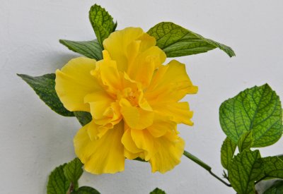 g1/91/764491/3/130331333.gQSAU0jx.jpg