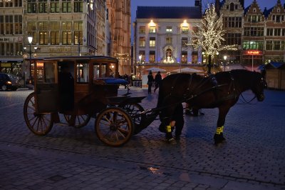 DSC_1241.JPG