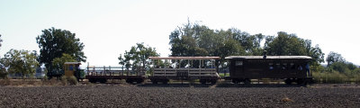Three Car  train in the Willows Field