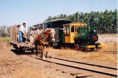 Jack's Curve Horse and Steam Trains Pass