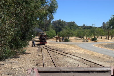 Throwing the recalcient switch at the east end of Deer Park Siding