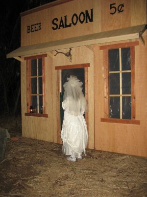 The widow approaching the Saloon