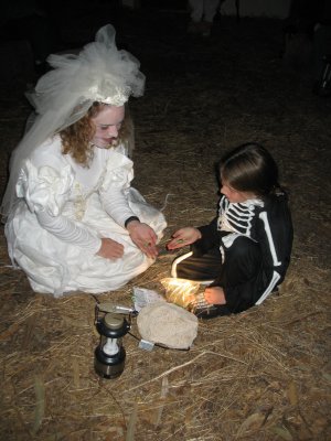 bride and bones between runs