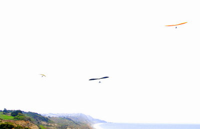DSC_0097.JPG