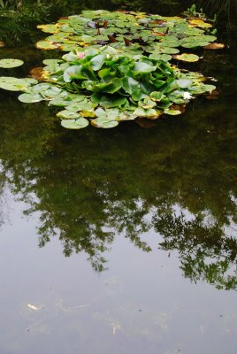 DSC_0144.JPG