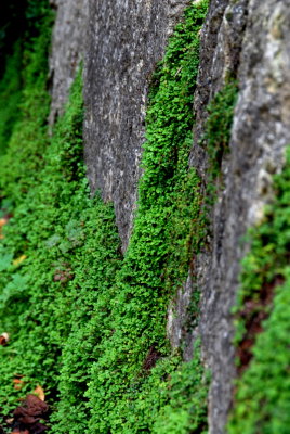 DSC_0191.JPG