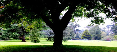 DSC_0230.JPG