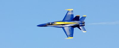 DSC_0417.JPG