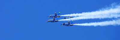 DSC_0528.JPG