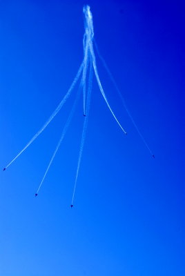 DSC_0739.JPG