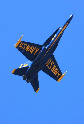 Blue Angels in SF 2008