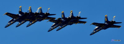 DSC_0232.JPG