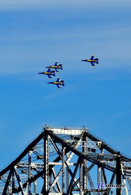 DSC_0336.JPG