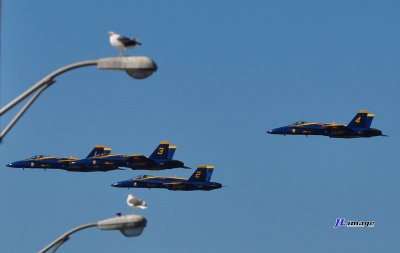 DSC_0356.JPG