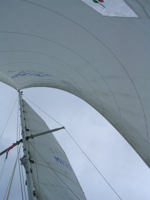 Sail Pics: Updated 2/20/2008
