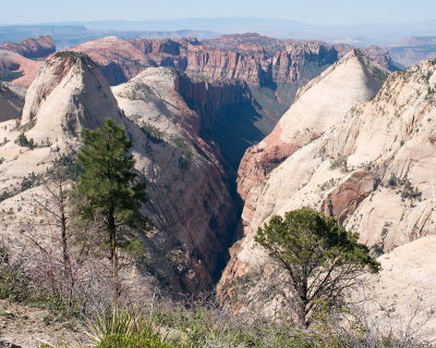 Right Fork of North Creek