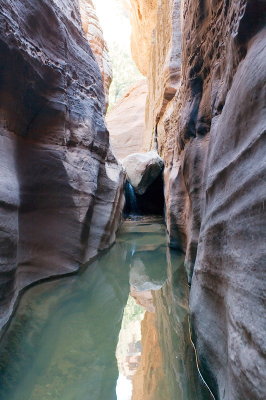 Left Fork of North Creek