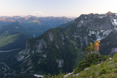 Snoqualmie Mountain, July 24, 2010