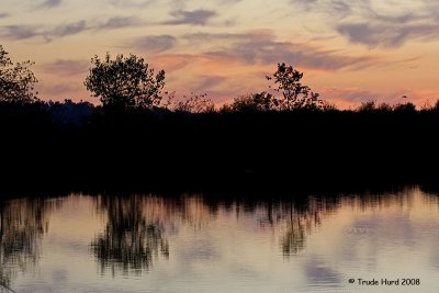 Reflections in still waters