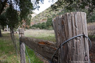 I reluctantly followed the road back to the visitor center
