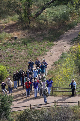 Keep your eyes looking this spring (Vic Leipzig's birding group)