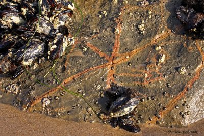 o rock pattern