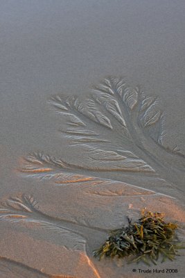 Sandy Water