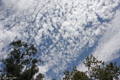 Hot cloudy day in summer at Santiago Oaks