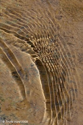 More reflections in water