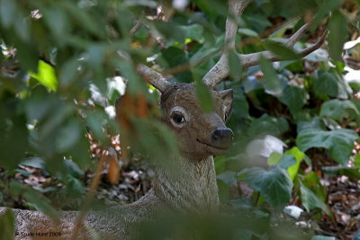 Keep your eyes open in nature.  You never know what you will discover!