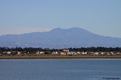 View of Saddleback from Bolsa Chica