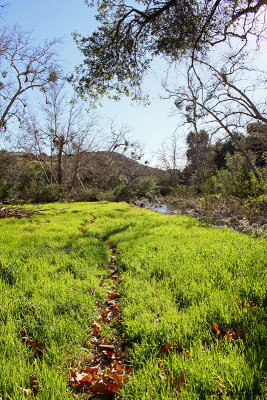 Nature's Path leads to discovery and inspiration and renewal