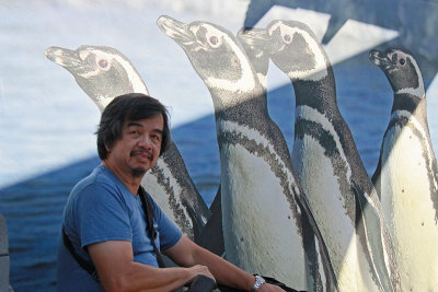 Which way to the penguin exhibit?