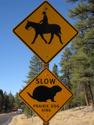 Prairie Dog Xing