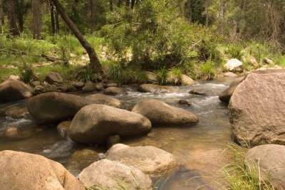 Creek in Mt Barney03.jpg