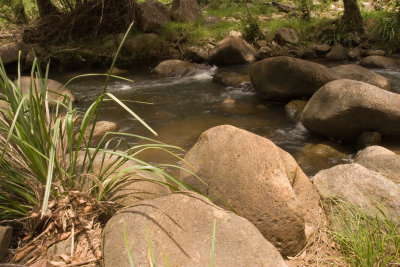 Creek in Mt Barney04.jpg