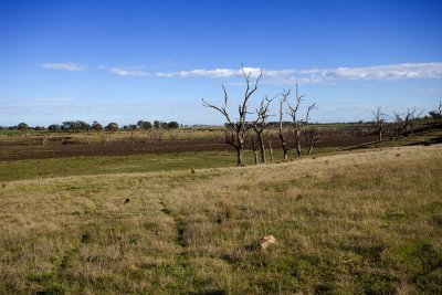 Seers Rd Ruins018.jpg