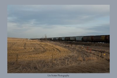 Canadian Train crossing near High River  IMG_6287_20090408_Resized.jpg