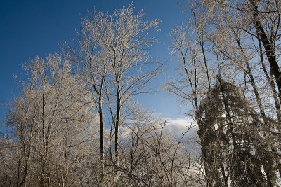 winter landscape in zrich  IMG_0299_20080202.jpg