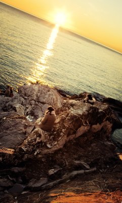 IMG_2771.jpg