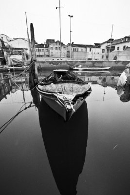 chioggia