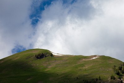 sauris17.jpg