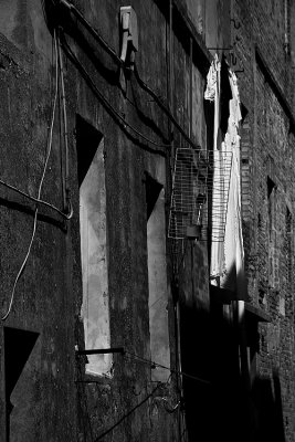 _MG_4366.jpg