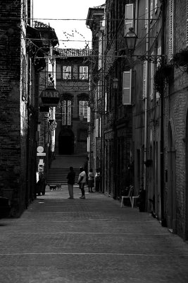 _MG_4377.jpg
