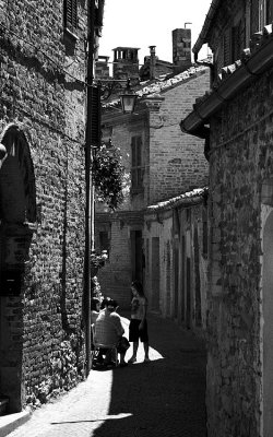 _MG_4356 10.jpg
