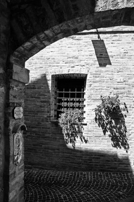_MG_4428.jpg